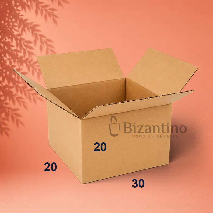 Caja embalaje 30x20x20 cm. (2)