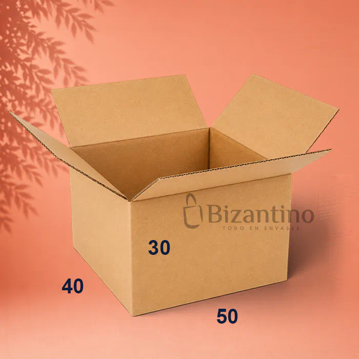 Caja embalaje 50x40x30 cm. (2)