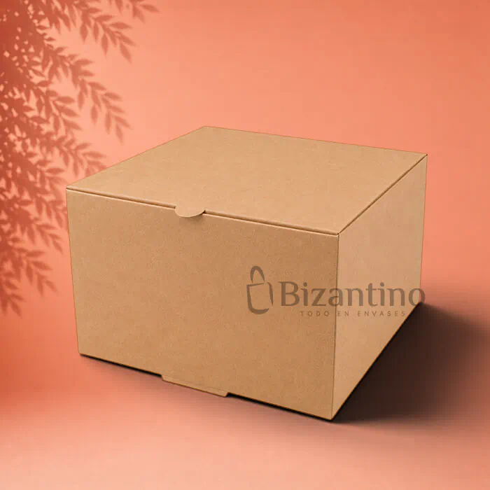 Caja kraft sin ventana 20x20x10 cm.