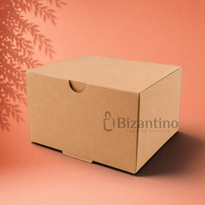 Caja kraft sin ventana 25x20x10 cm.